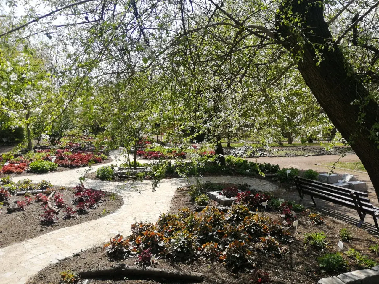 Edukacja dzieci Ogród Botaniczny Zabrze