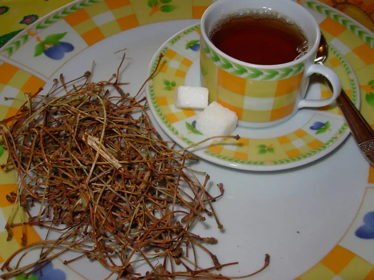 Une tasse de th&eacute; fumant, deux sucres et une belle poign&eacute;e de queue de cerise s&eacute;ch&eacute;e, pr&ecirc;te &agrave; infuser.