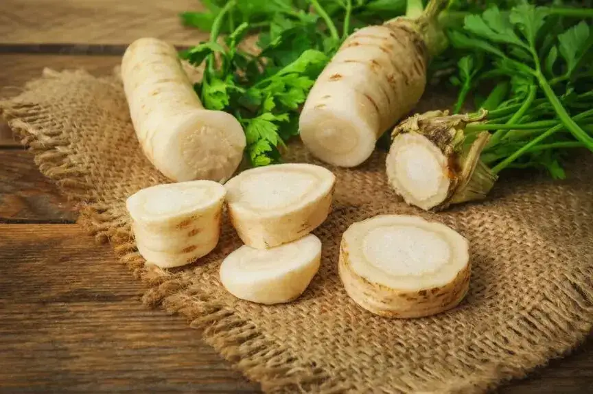 Zdjęcie Czy pies może jeść korzeń pietruszki? Sprawdź, co warto wiedzieć