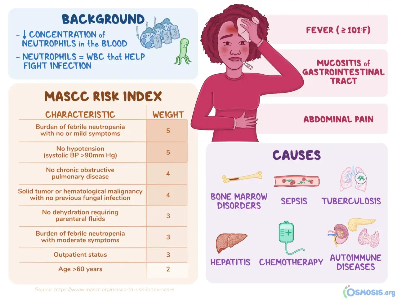 Niski poziom neutrofili we krwi (neutropenia) zwiększa ryzyko infekcji. Grafika przedstawia objawy, przyczyny i wskaźnik MASCC.