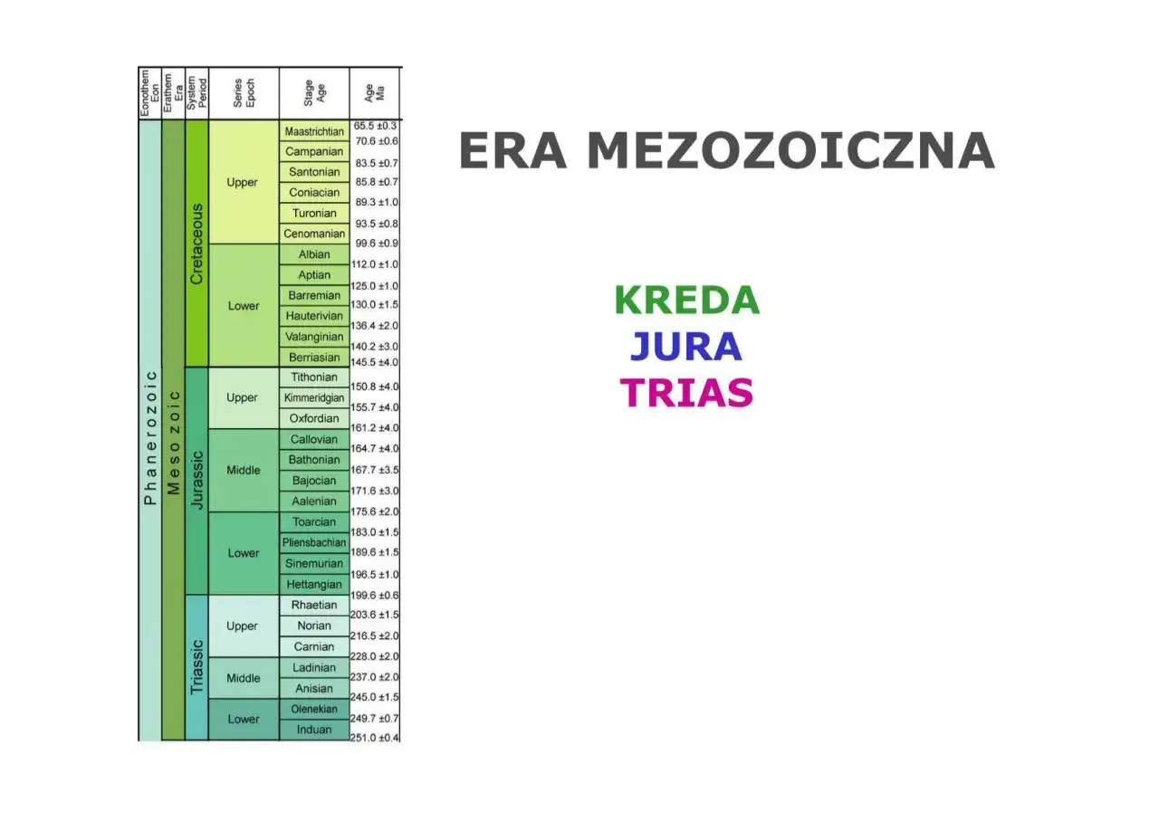 ERA MEZOZOICZNA: Kreda, Jura, Trias. Tabela przedstawia podział ery mezozoicznej na okresy i epoki, od Triasu po Kredę.