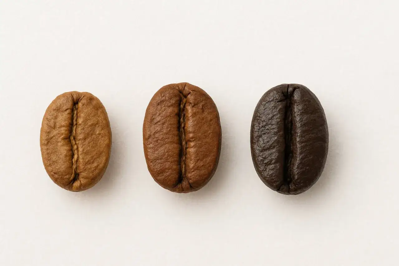 Tre kaffebönor i olika rostningsgrader, från ljus till mörk. En visuell kaffesorter lista för att välja din favorit.
