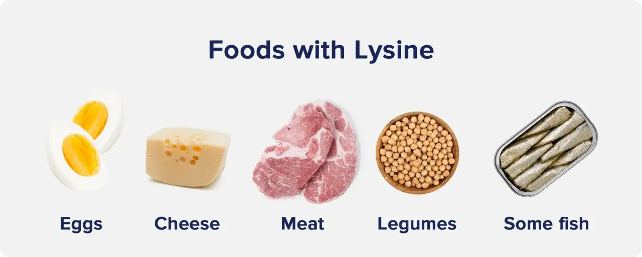 &OElig;ufs, fromage, viande, l&eacute;gumineuses et poissons en conserve : des aliments riches en lysine pour une alimentation &eacute;quilibr&eacute;e.