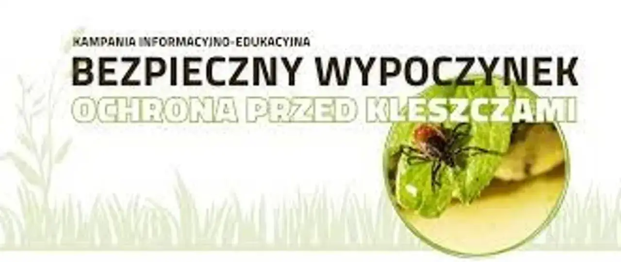 Kampania informacyjna: Bezpieczny wypoczynek, ochrona przed kleszczami. Kleszcz na liściu.