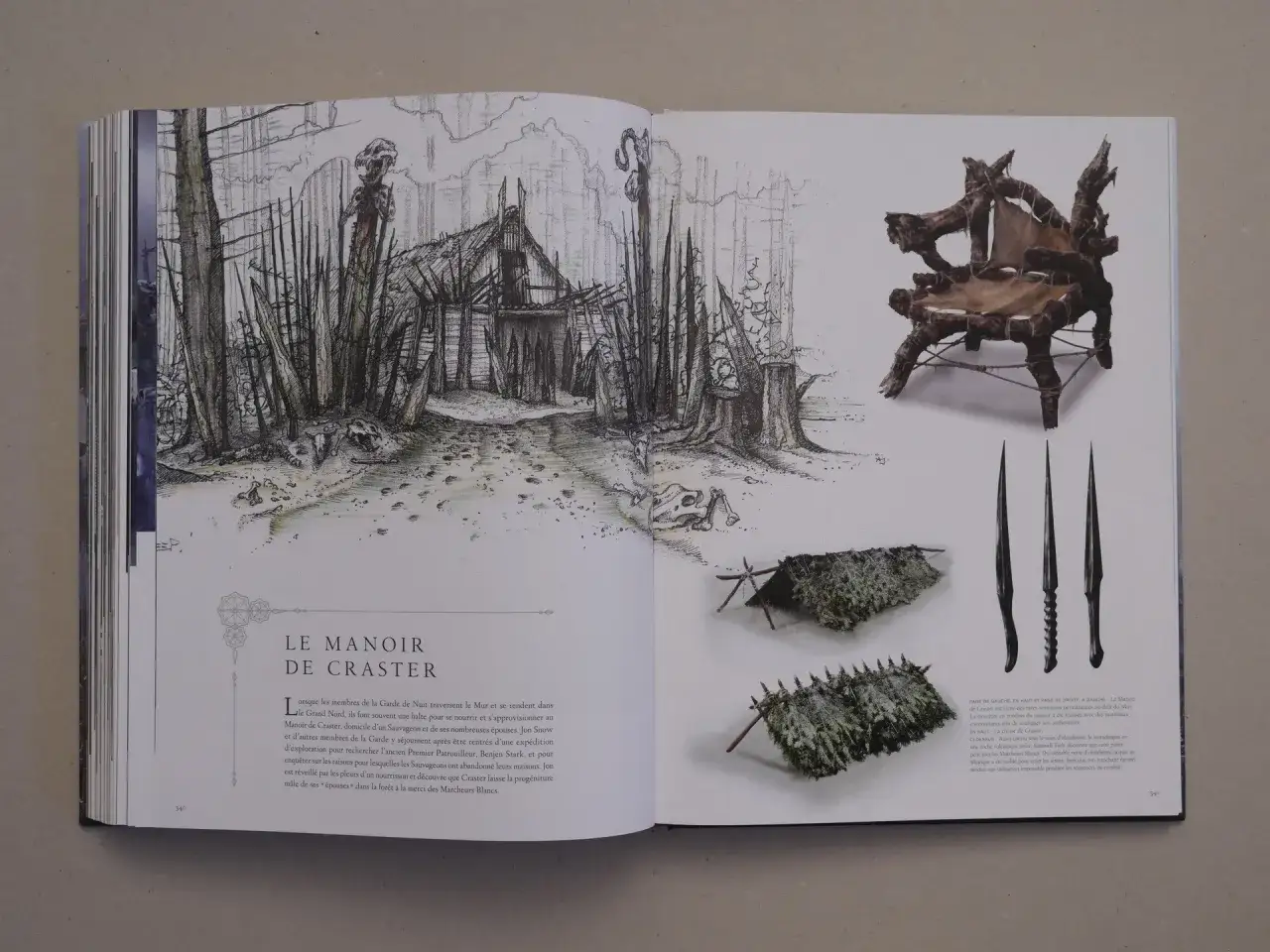 Ilustracja przedstawia mroczny dwór Crastera, krzesło z gałęzi i ostrza. Jak czytać Grę o Tron? Poznaj mroczne zakątki Westeros.