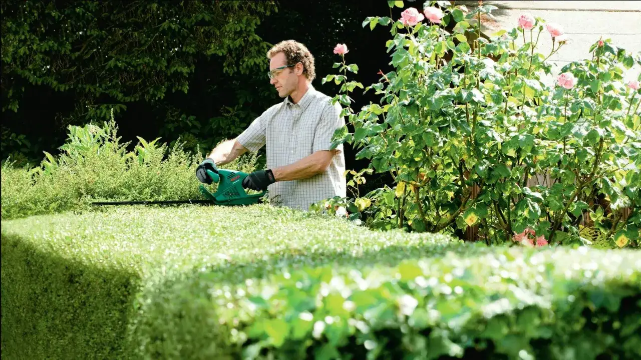 Mann schneidet Hecke mit Heckenschere. Informieren Sie sich &uuml;ber die 10 m Hecke schneiden Kosten f&uuml;r Ihren Garten.