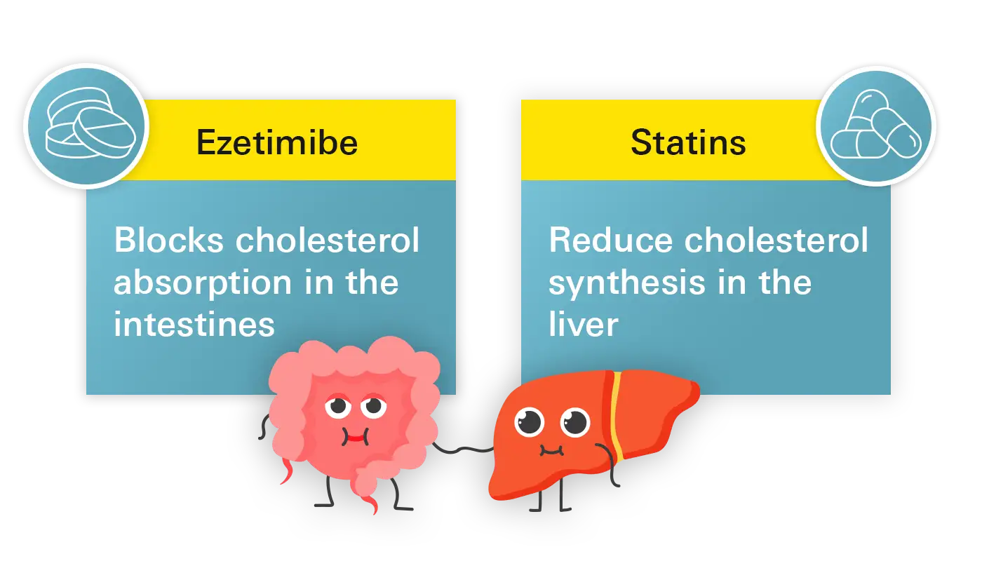 Ezetymib blokuje wchłanianie cholesterolu, a statyny redukują jego syntezę. Suvardio plus to połączenie tych substancji.