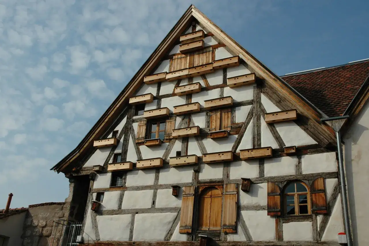 Fachwerkhaus mit vielen kleinen Holzkästen, die als mauersegler nest dienen.