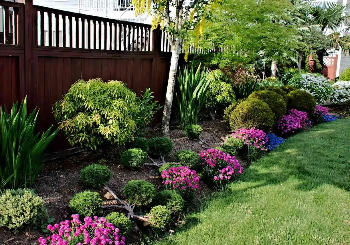 Un magnifique jardin avec une variété de plante extérieur, des arbustes taillés, des fleurs roses et bleues, et un arbre fleuri jaune.