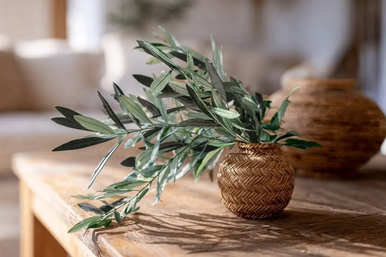 Une branche de feuille d'olivier, aux teintes vertes et argentées, repose dans un petit vase tressé sur une table en bois.