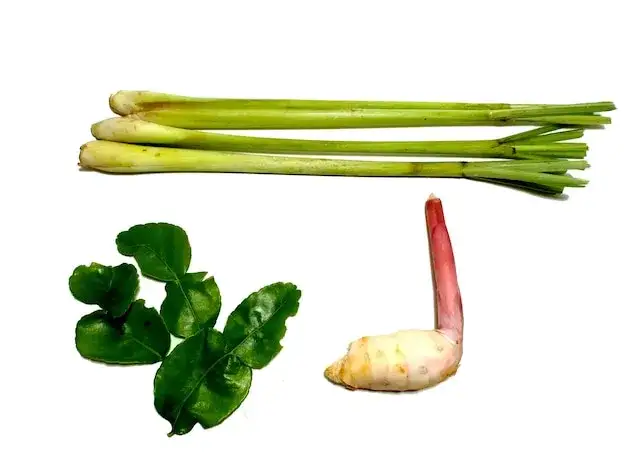 Tom Yum Suppe Zutaten wie Zitronengras Galgant Kaffir-Limettenblätter