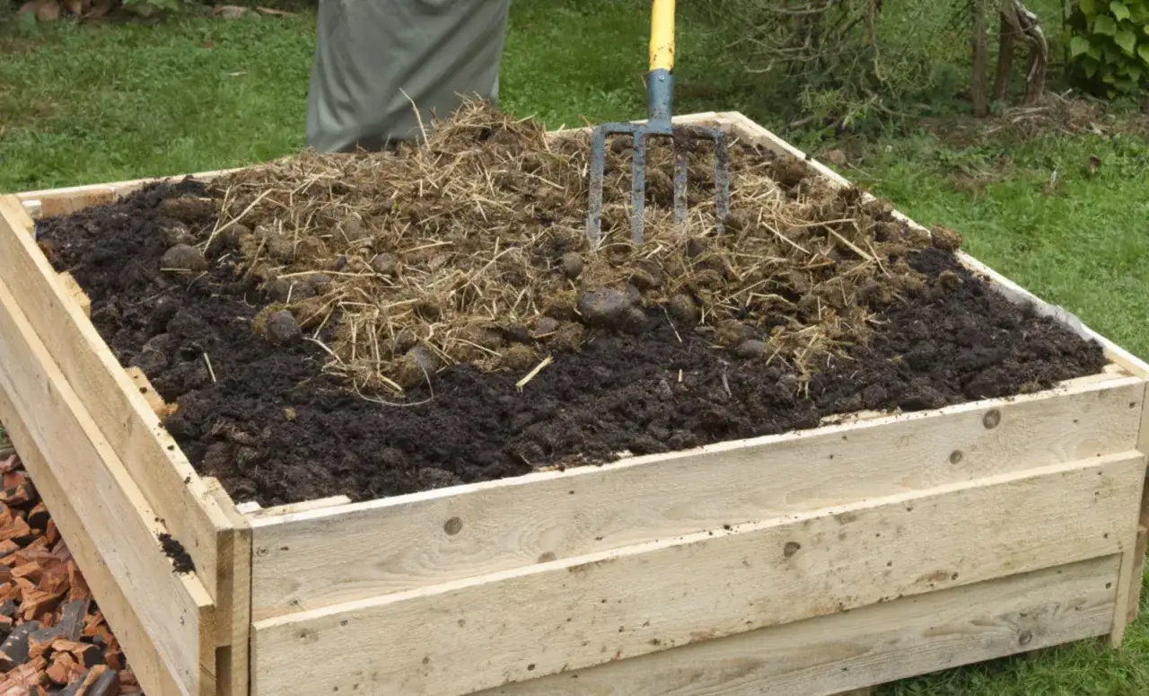 Un tas de fumier de cheval et de paille dans une compostière en bois, prêt à enrichir le jardin.