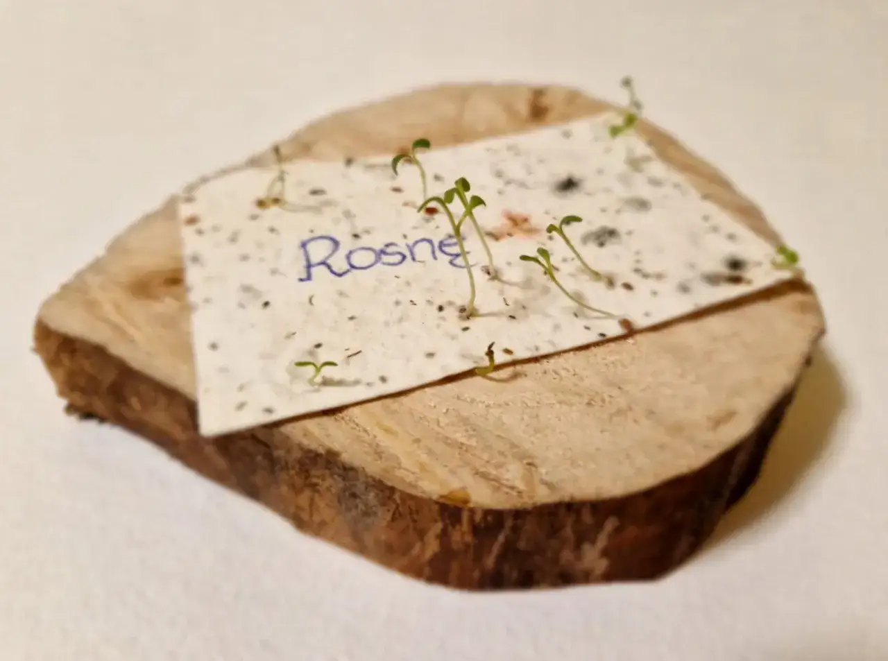 Papier z nasionami (seed paper) z napisem