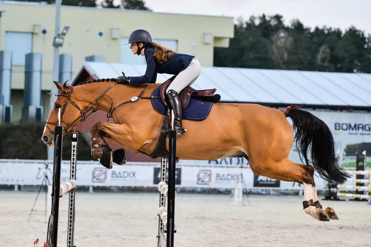 Grand Prix jeździectwo definicja