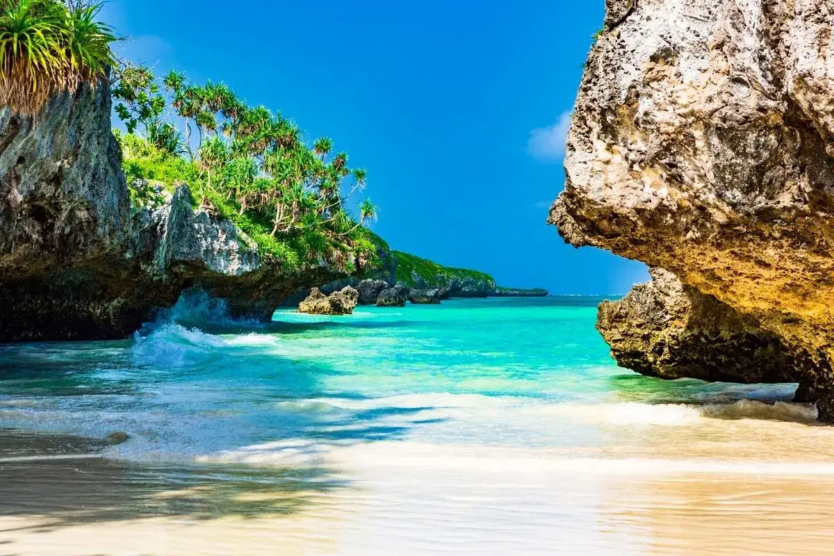 Rajska plaża na Zanzibarze, z turkusową wodą, skałami i palmami. Idealne miejsce, by zobaczyć, co Zanzibar ma do zaoferowania.