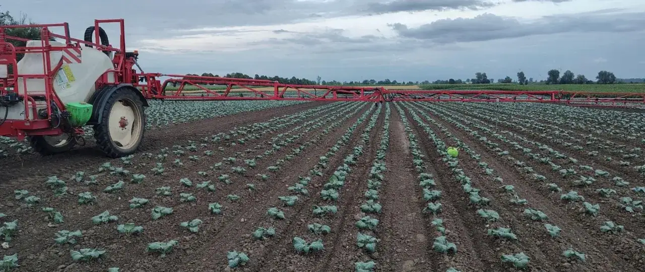 Czerwony opryskiwacz do trawnika pracuje na polu młodych roślin.