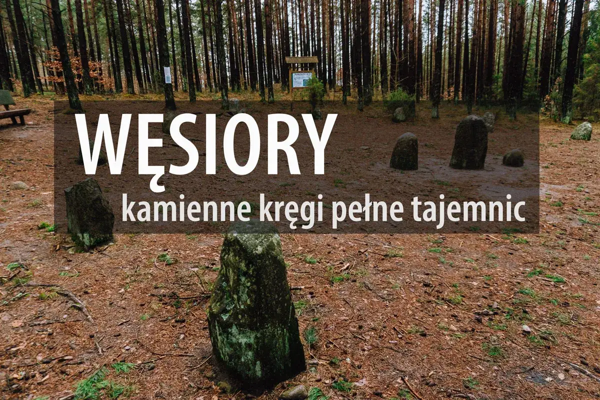 Węsiory: kamienne kręgi pełne tajemnic. Stanica nad pradawnymi kamieniami w lesie.