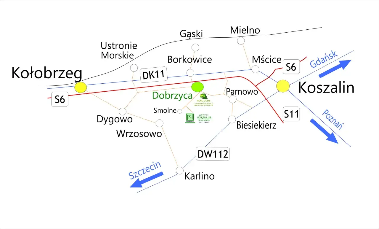 Mapa drogowa pokazuje trasę z Kołobrzegu do Koszalina, gdzie jest około 60 kilometrów.