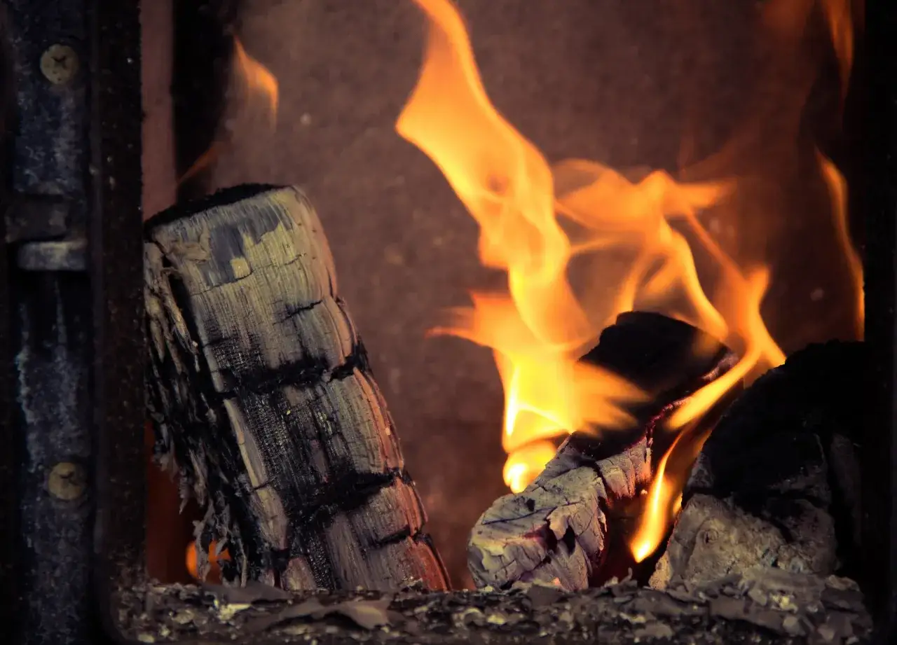 Dans un poêle, du bois humide crépite sous les flammes orangées. La chaleur monte, réchauffant l'âtre.