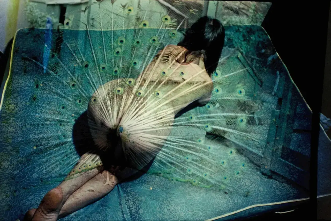 Boris Mikhailov: corpo femminile sovrapposto a un ventaglio di piume di pavone su un tessuto blu decorato.