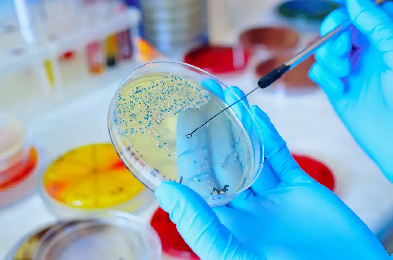 Kontrola mikrobiologiczna żywności