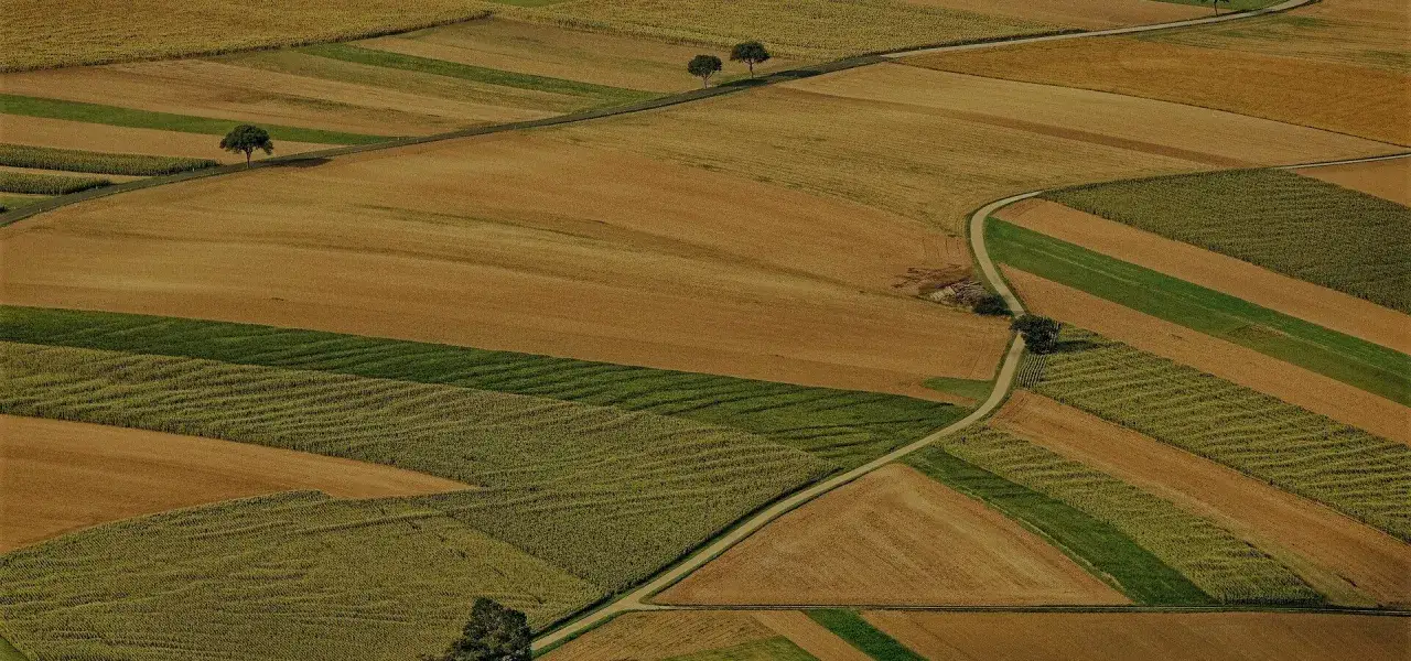 Bunte Felder, die an ein Patchwork erinnern, mit einer Straße, die sich durch sie schlängelt. Ideal, wenn Sie geerbtes Ackerland verkaufen möchten.