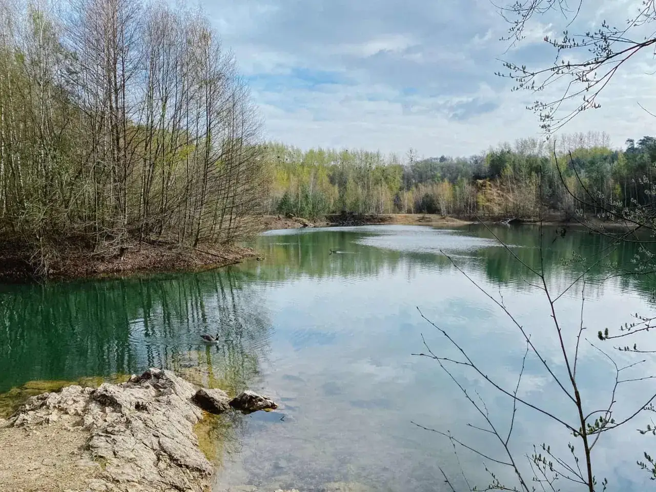 Enten schwimmen in der ruhigen Grube Cox, umgeben von B&auml;umen und bew&ouml;lktem Himmel.