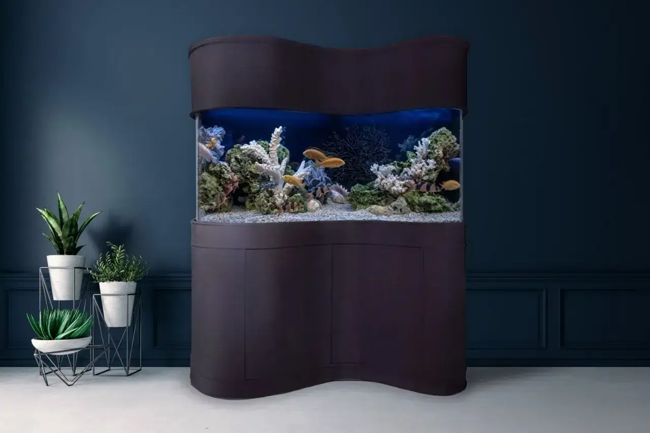 Ett elegant h&ouml;rnakvarium med m&ouml;bel, fyllt med f&auml;rggranna fiskar och koraller, st&aring;r mot en m&ouml;rkbl&aring; v&auml;gg.