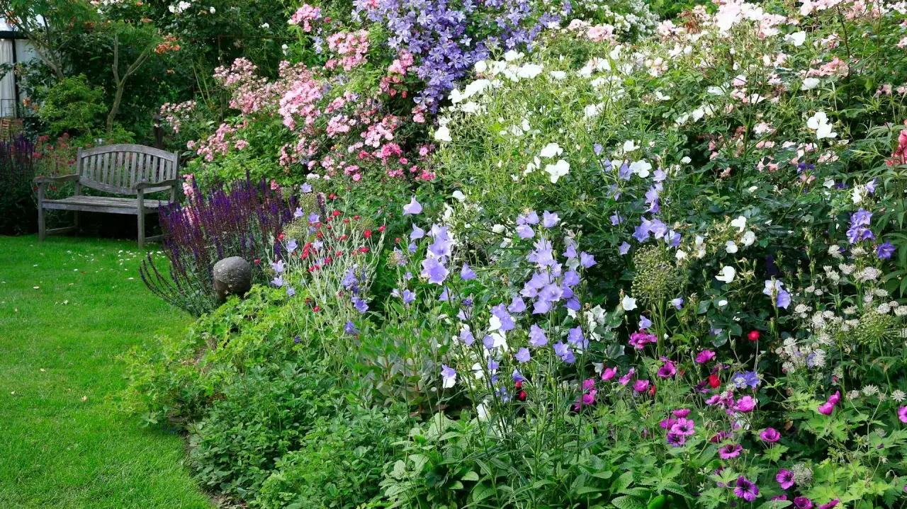 Ein üppiger Garten mit einer Holzbank, umgeben von blühenden Glockenblumen, Rosen und anderen Sommerblumen. Der ideale Glockenblume Standort.