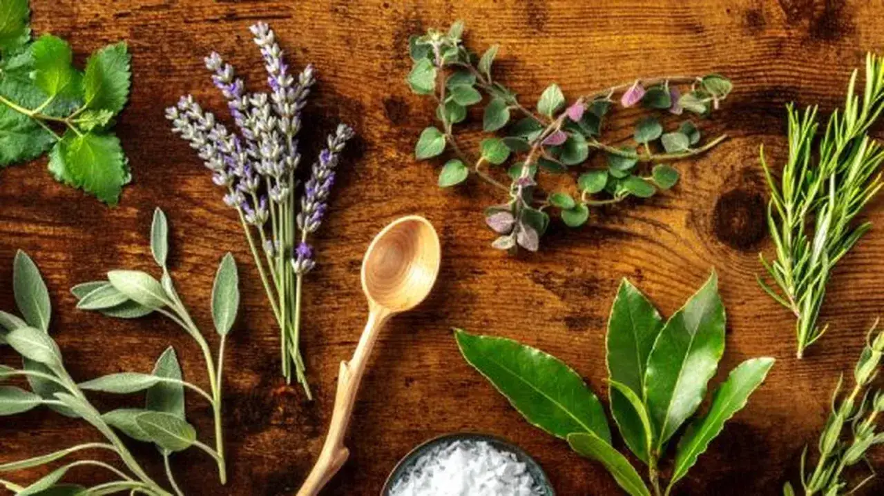 Variedad de hierbas provenzales, lavanda, romero, laurel y sal, listas para sus usos culinarios y arom&aacute;ticos.