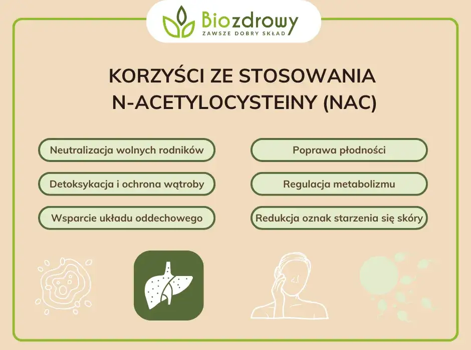 NAC korzyści zdrowotne infografika