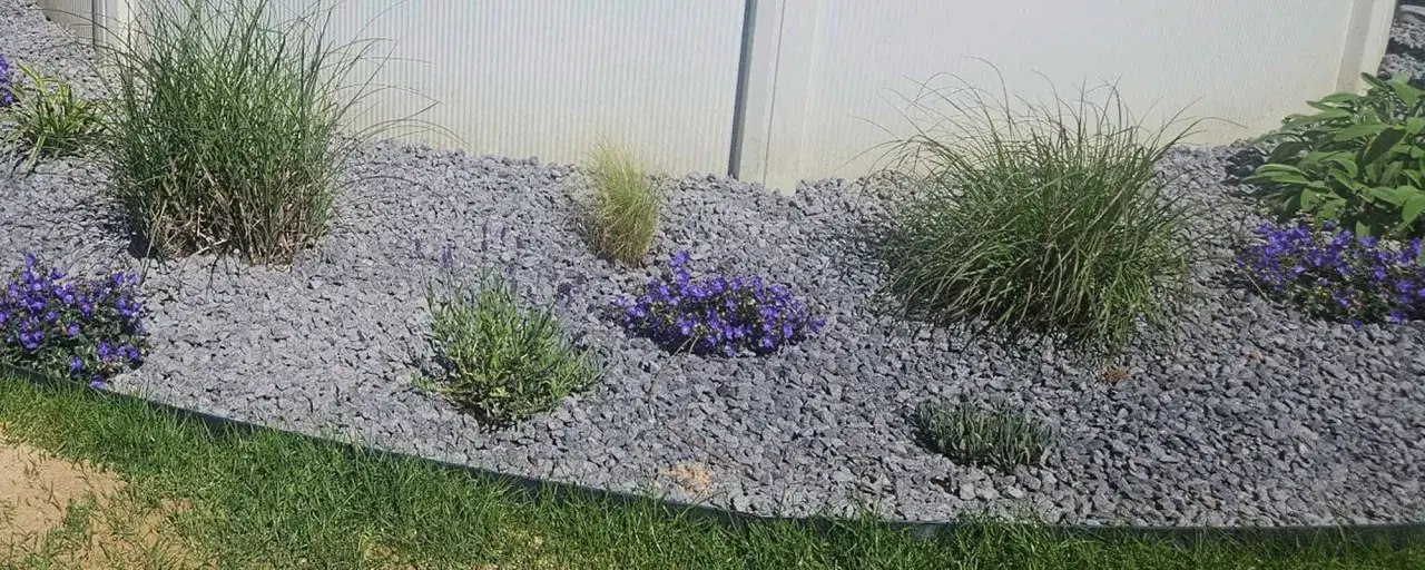 Ein Gartenbeet mit blau blühenden Pflanzen und Gräsern, bedeckt mit grauem **Vulkan-Mulch**.