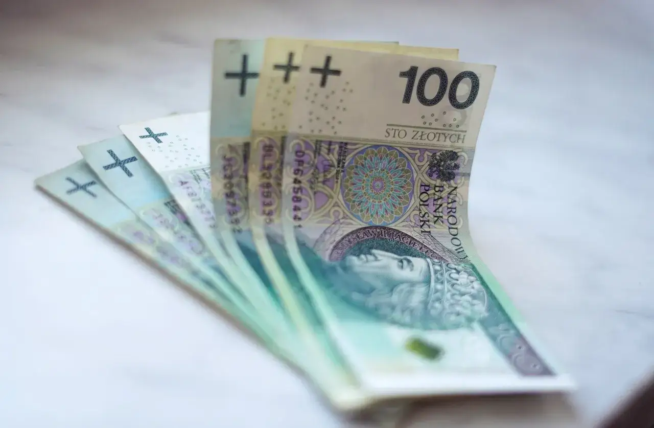 Kilka banknot&oacute;w 100 złotych ułożonych wachlarzowo. To jest grzywna, kt&oacute;rą trzeba zapłacić.