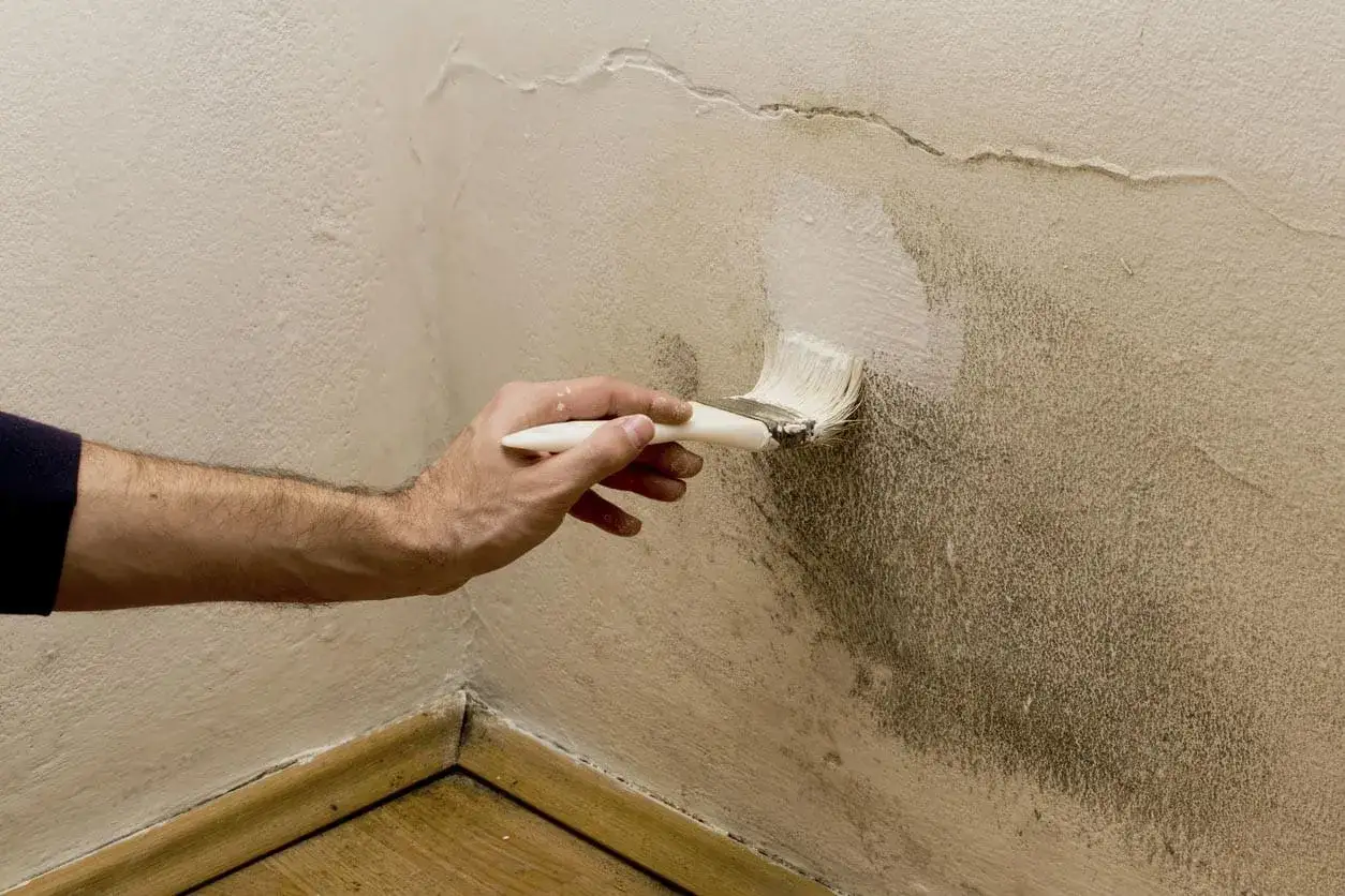 Main d'homme appliquant de la peinture blanche sur un mur taché, après peinture.