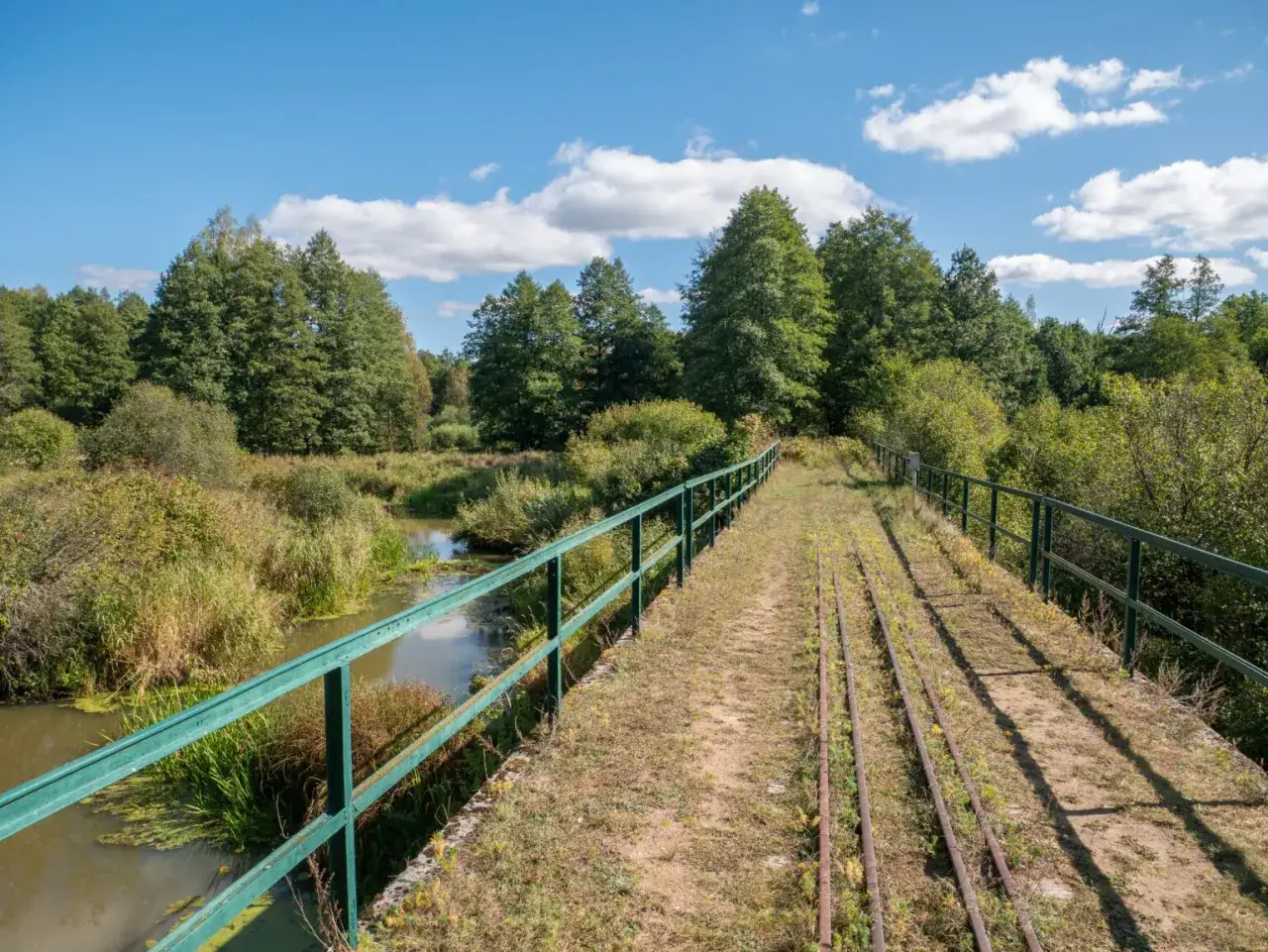 Most starym wąskotorowym szlakiem kolejowym, idealnym na spacerowy białowieża plan zwiedzania. Po lewej rzeka, po prawej las.