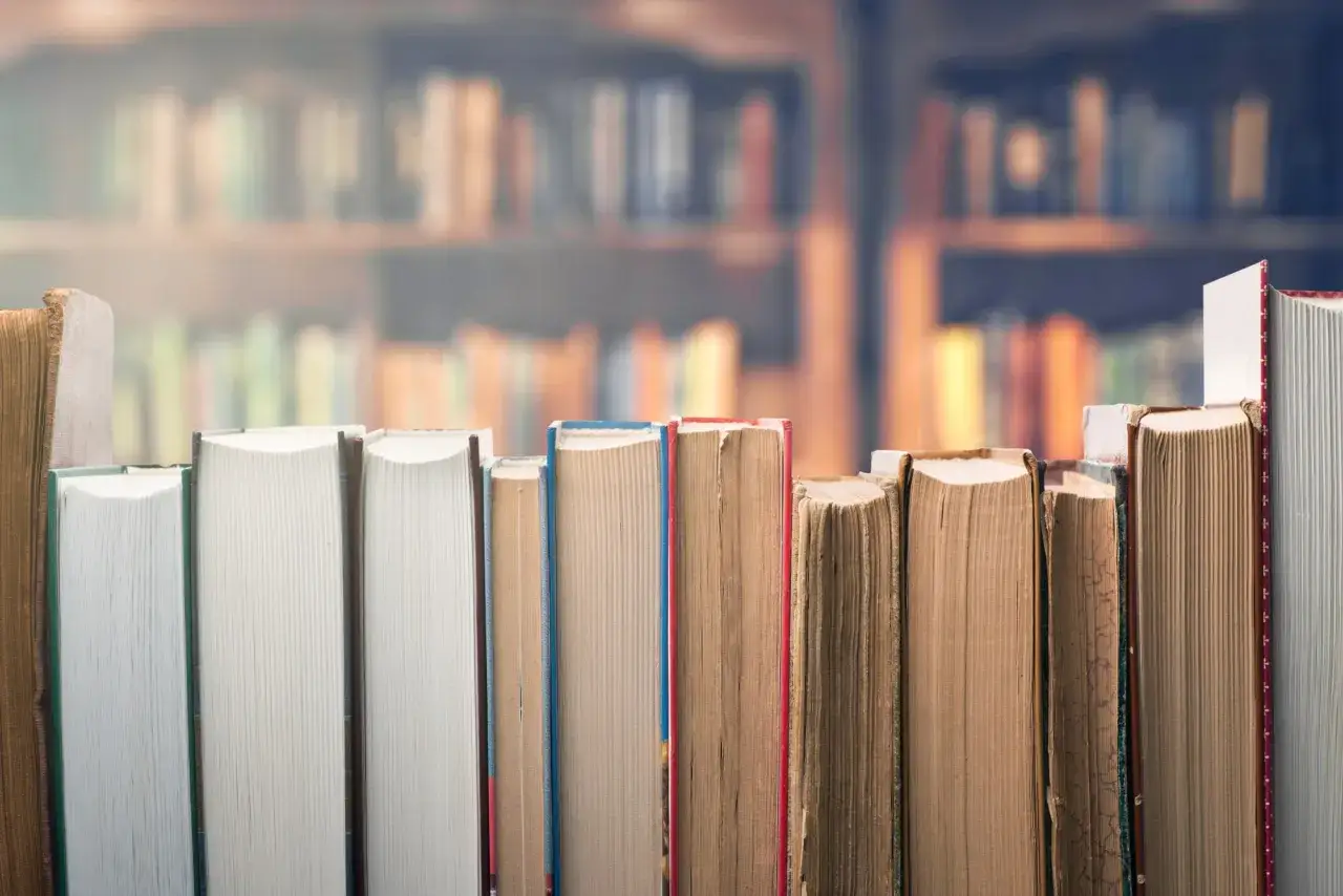 Rząd książek, w tym grube tomy literatury pięknej, na tle bibliotecznych półek.