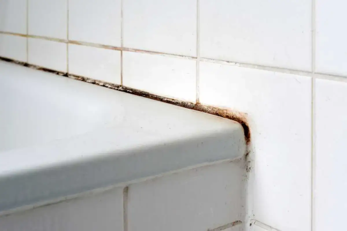Angolo della doccia con muffa nera e ruggine. Ecco come pulire il nero della doccia per un bagno splendente.