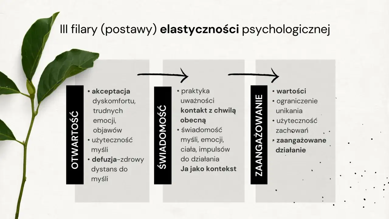 Trzy filary elastyczności psychologicznej: otwartość, świadomość i zaangażowanie. Kluczowe elementy terapii ACT.