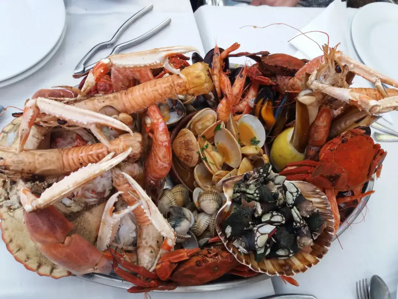 Marisco fresco en Vigo: cigalas, gambas, mejillones, almejas y percebes. ¡Un festín para descubrir dónde comer en Vigo!