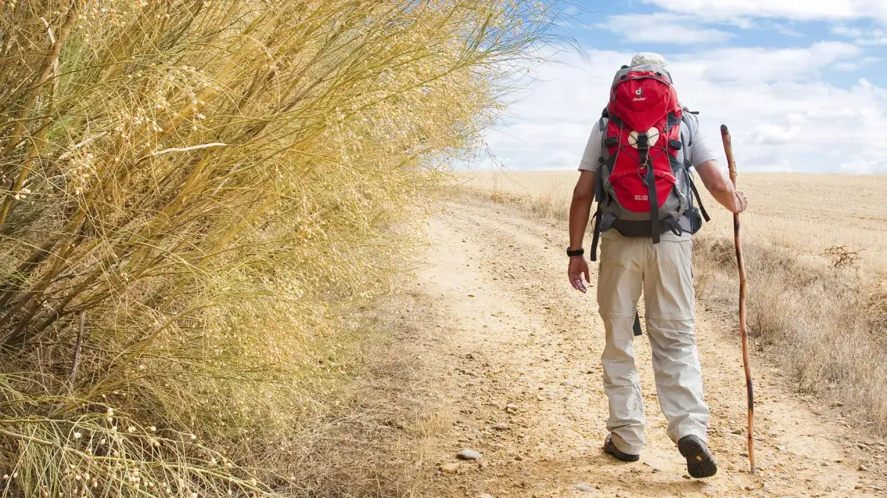Ein Pilger mit rotem Rucksack und Wanderstock geht auf einem Feldweg. Die Antwort auf die Frage, warum geht man den Jakobsweg, liegt in der Reise selbst.
