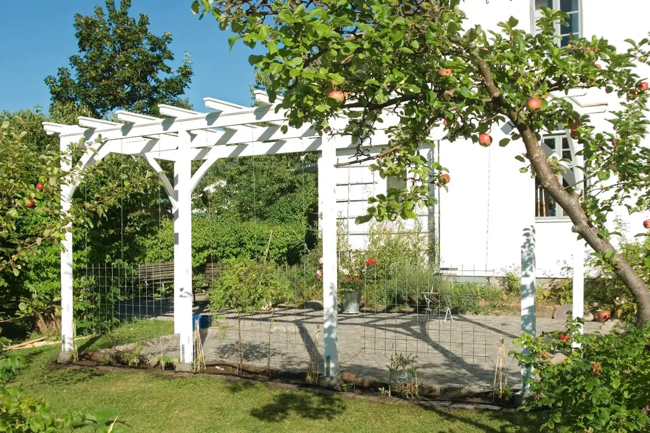 En vit pergola st&aring;r i en tr&auml;dg&aring;rd med &auml;ppeltr&auml;d. En perfekt plats att bygga pergola och njuta av sommaren.