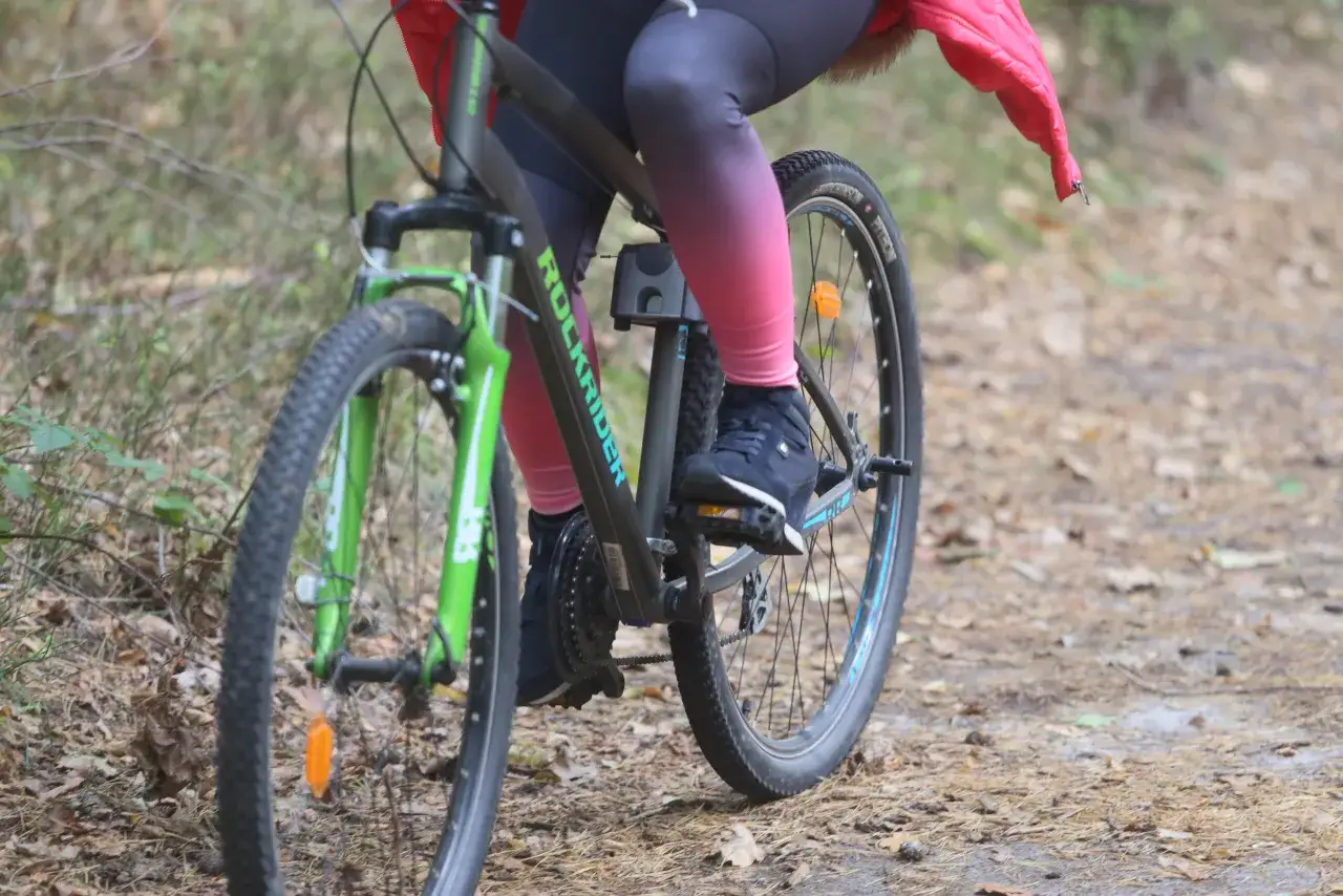 Odkryj najładniejsze trasy rowerowe na Mazowszu, pedałując po leśnych ścieżkach.