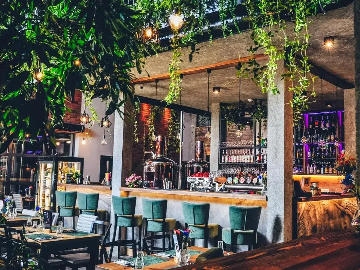 Przytulny hotel z browarem, gdzie zielone pnącza oplatają wnętrze. Wygodne fotele przy barze i stoły czekają na gości.