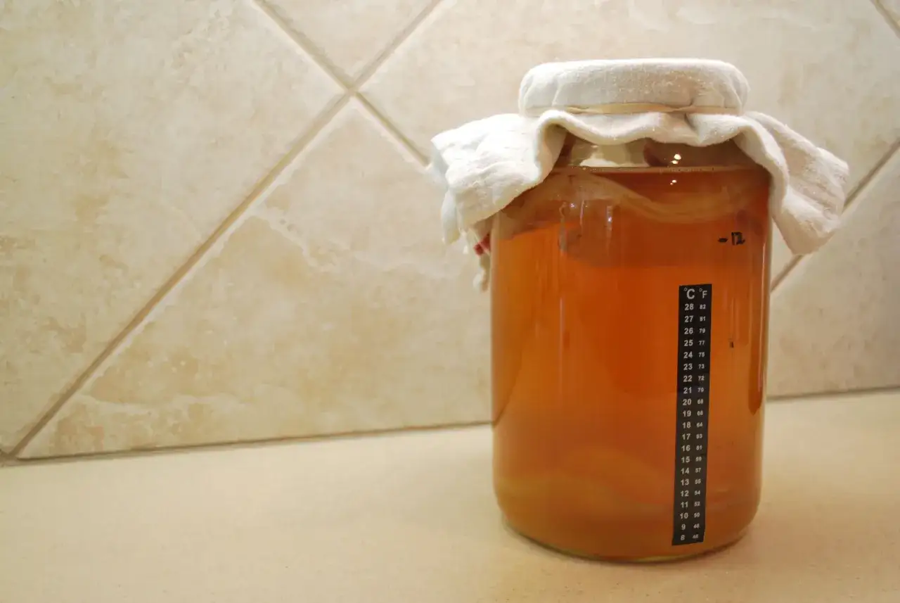 Słoik z bursztynowym napojem, przykryty białą ściereczką, z widocznym SCOBY. To domowa kombucha, co to jest? Napój fermentowany.