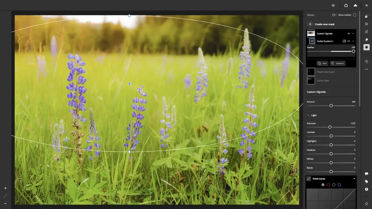 Edycja zdjęcia łubinu w aplikacji lightroom web. Widoczny panel masek z ustawieniami winiety i światła.