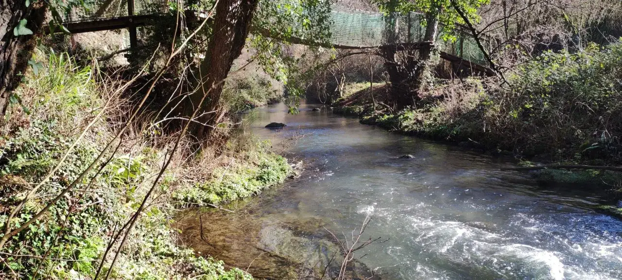 Un suggestivo ponte tibetano nel Lazio attraversa un ruscello tra alberi e vegetazione rigogliosa, creando un'atmosfera incantevole.