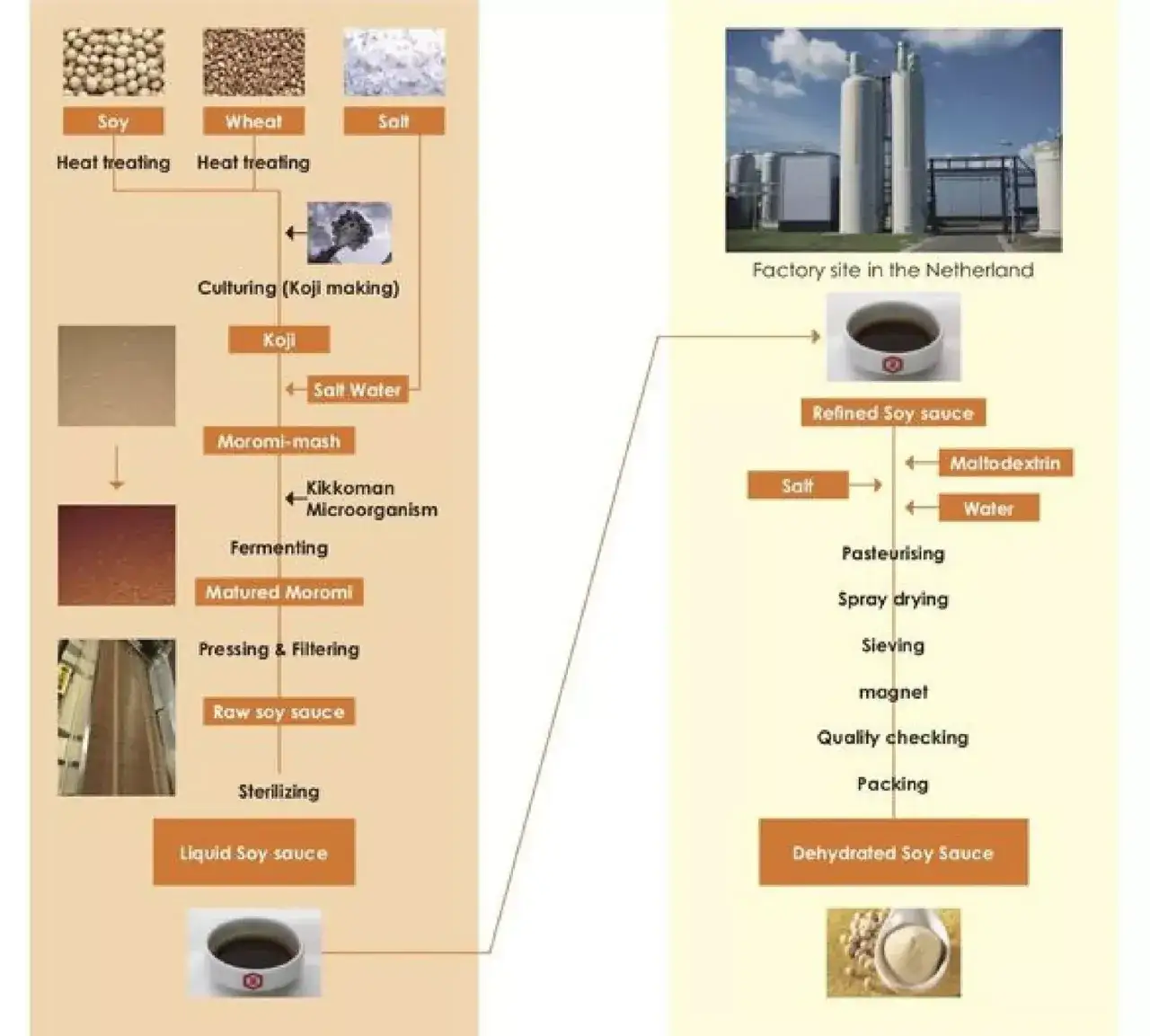 proces produkcji sosu sojowego fermentacja