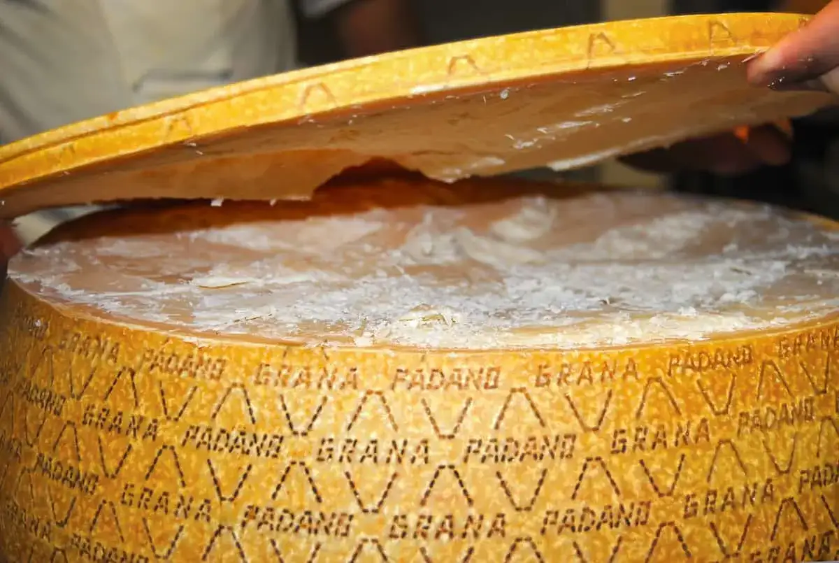 En stor hjul av Grana Padano parmesanost &ouml;ppnas. Texten 