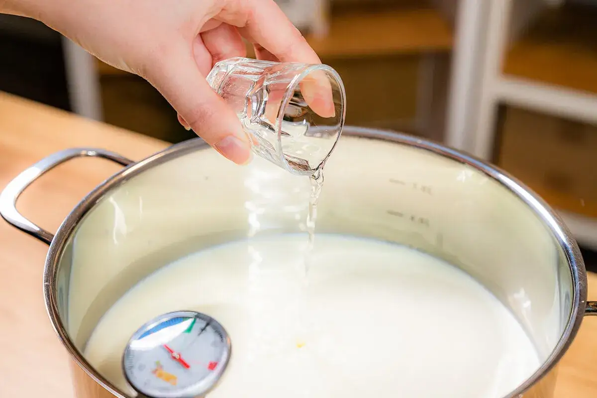 Fl&uuml;ssigkeit aus einem Schnapsglas wird in einen Topf mit Milch gegossen. Ein Thermometer zeigt die Temperatur an. Dies ist der Schritt, um tierisches Lab hinzuzuf&uuml;gen.