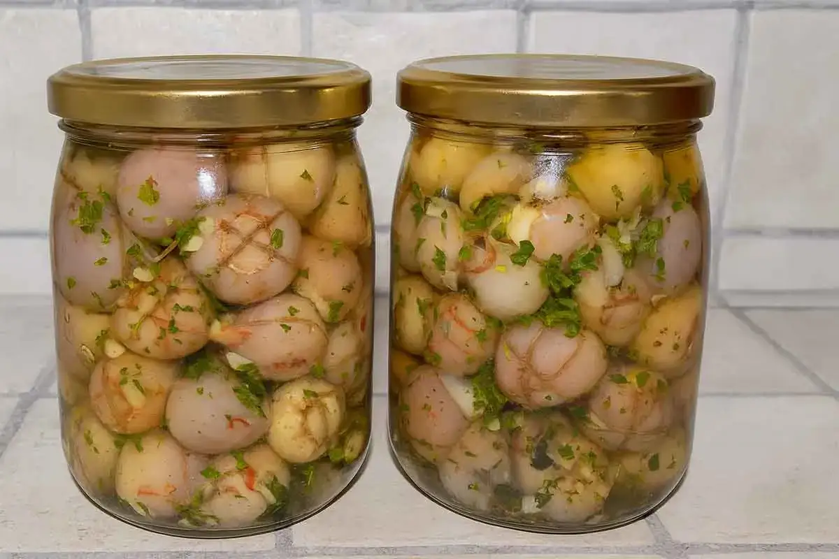 Due barattoli di lampagioni sott'olio, conditi con erbe aromatiche, pronti per essere gustati.
